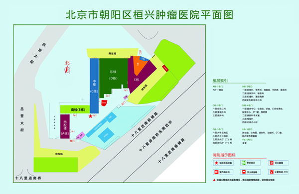 鸡八操小穴免费视频北京市朝阳区桓兴肿瘤医院平面图